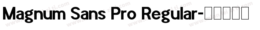 Magnum Sans Pro Regular字体转换